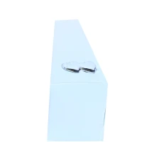 Applicatie hartjes zilver