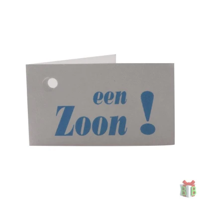 Geboorte mini kaartje - Een zoon - Geboortekaartje