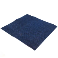 Schoonloop blauw 100x100