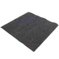 Schoonloopmat intensief gebruik 100x100