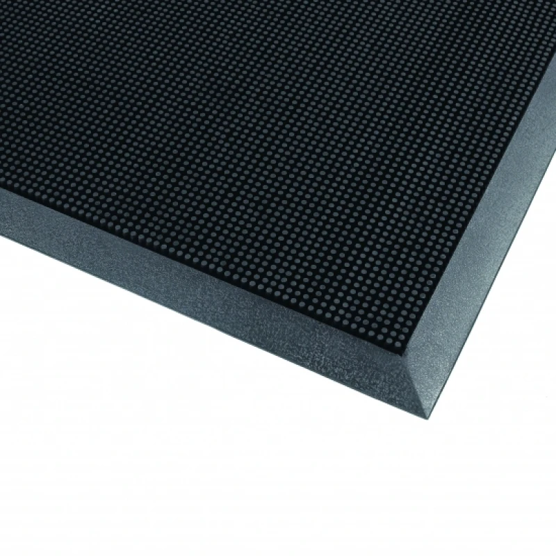 Entreemat met rubberen haren