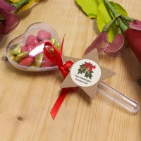 Klein kerst geschenkje - hartje op steel met ster