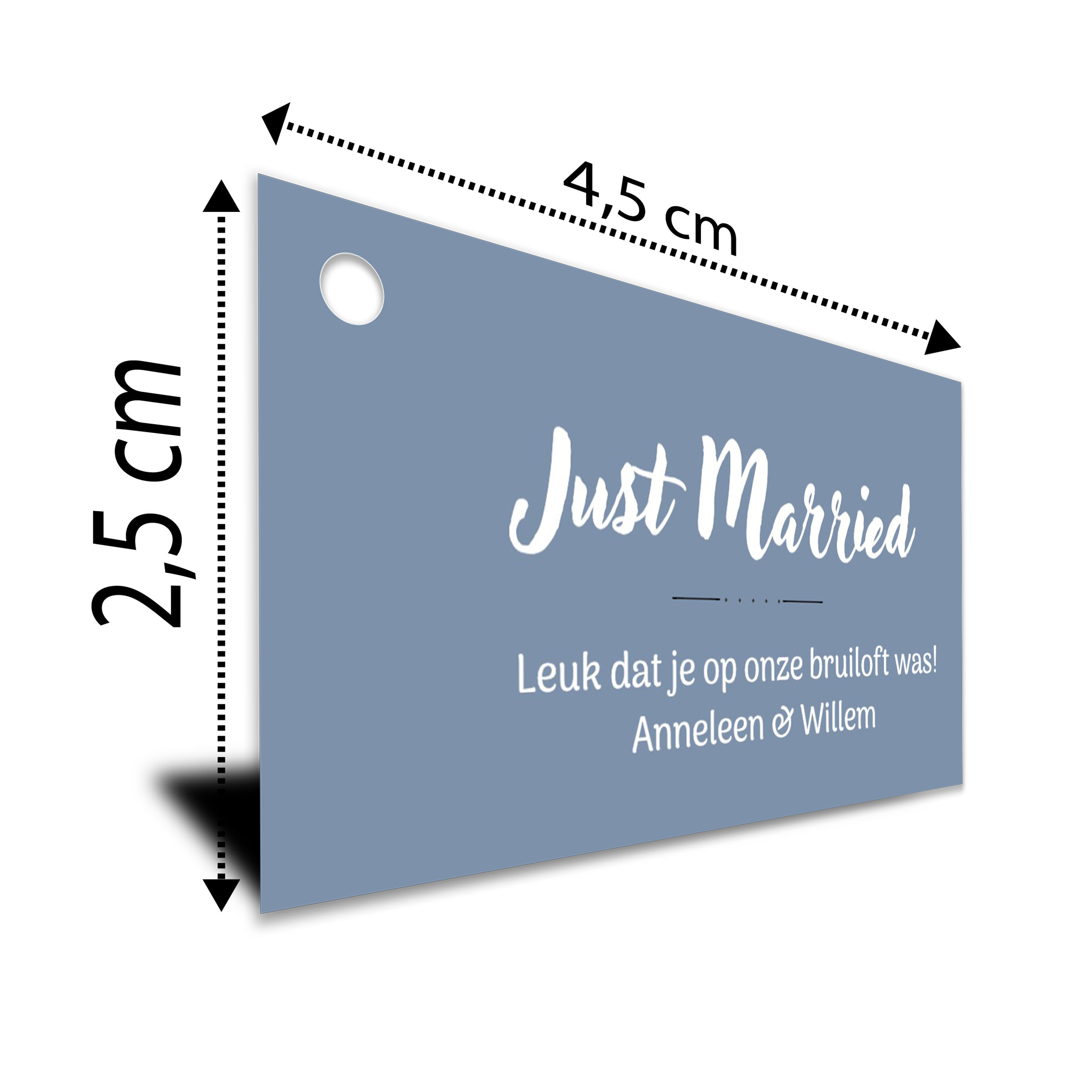 Minikaartje "Just Married"